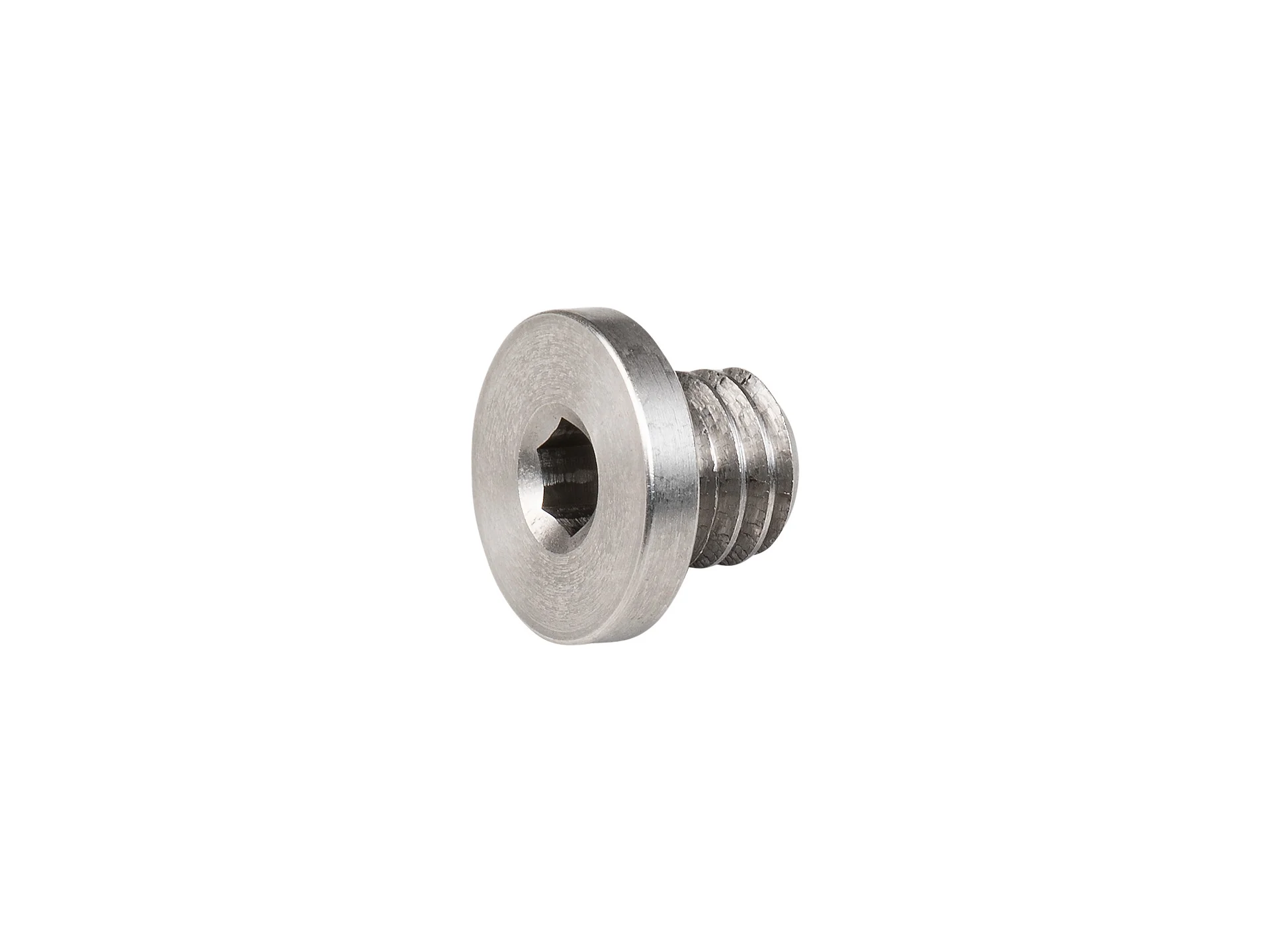 Trek Derailleur Hanger Button Head Bolt